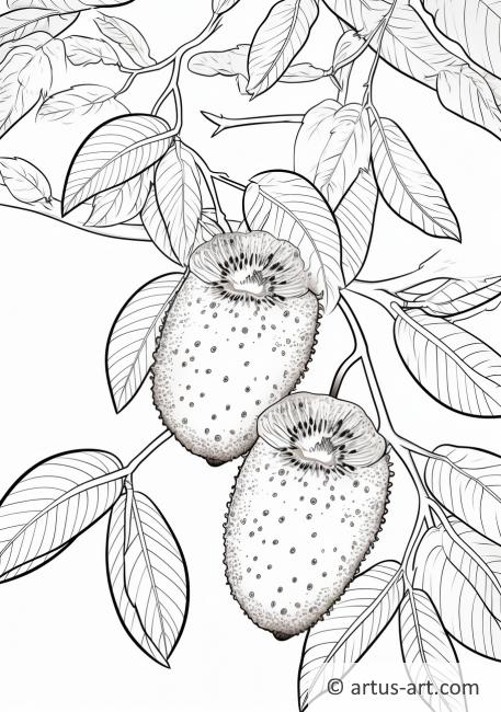 Kiwi Fruit Tree Coloring Page